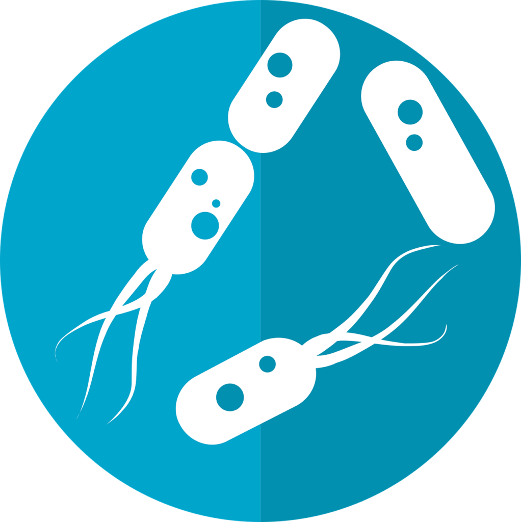 Pre and Probiotics for poultry