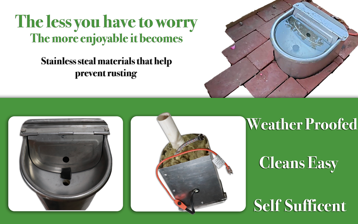 Peck and sip Water feeder